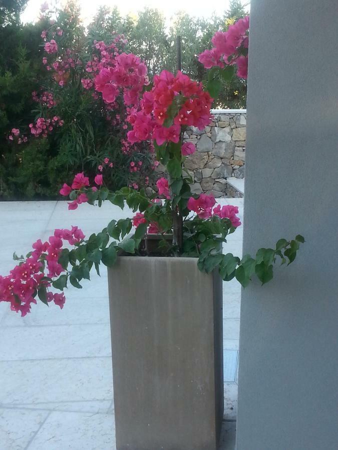 Villa Ca Del Mar Morciano di Leuca Exterior foto